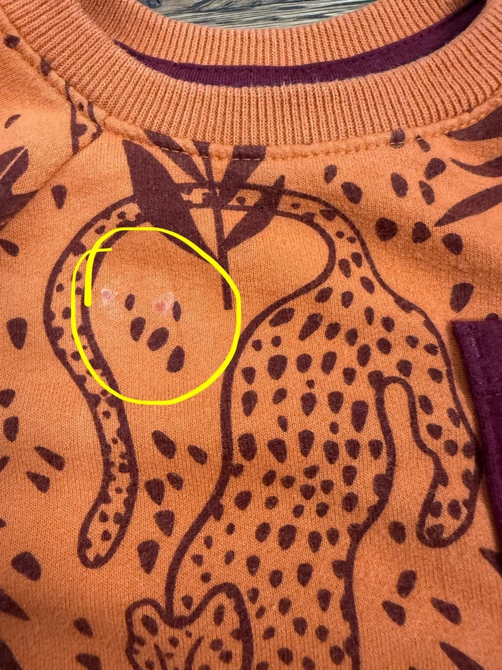 Cat & Jack x Danielle Peterson Kids Cheetah Print Sweatshirt/ Short Set 18 M
